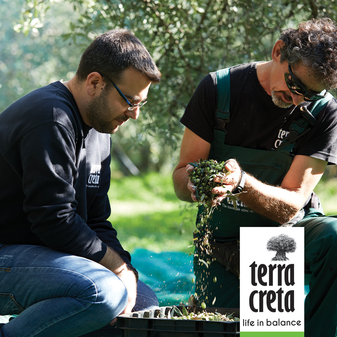 Terra Creta - Extra natives Olivenöl "estate" BIO 5 l